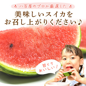 小玉すいか(ひとりじめ)2～3玉 和歌山産《先行予約》