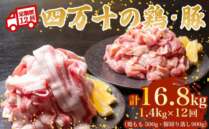 
            【12ヶ月連続】四万十ブランド 鶏肉500g 豚肉900g（計1.4kg×12回）16.8kg 12回定期便 5Uコース｜ 四万十ポークスライス 四万十ポーク 豚バラ肉 小分け 小間切れ スライス 切り落とし 冷凍 真空パック 細切れ 切身 カット 一口大 カット済み  四万十鶏 鳥肉 とりにく 鶏もも 国産 ブランド 唐揚げ 煮物 鍋 チキン 高知県 須崎市 TM127000
          