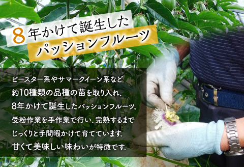 《2026年発送先行予約》【数量・期間限定】8年かけて誕生した《宮崎県産》極上パッションフルーツ＆極上パッションフルーツジャム フルーツ 果物 ギフト