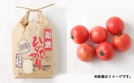 【定期便12回】豊野の恵み 野菜 果物 10品目程度 米 詰め合わせ