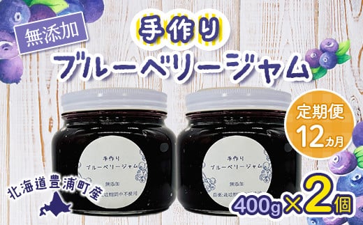 【定期便12カ月】北海道 豊浦町産 無添加手作り ブルーベリージャム400g×2個 【ふるさと納税 人気 おすすめ ランキング 果物 ブルーベリー 国産ブルーベリー ブルーベリージャム 手作り 無添加 大容量 おいしい 美味しい あまい ジューシー 定期便 北海道 豊浦町 送料無料】 TYUS002