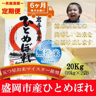 ふるさと納税 盛岡市 【毎月定期便】無洗米 ひとめぼれ 20kg全6回
