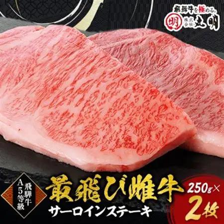 【最飛び雌牛】飛騨牛A5等級サーロインステーキ　250g×2枚【配送不可地域：離島】【1520149】