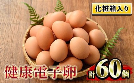 卵！ 健康電子たまご（鶏卵）6パック 60個入り (内10個 宅配破損時 保証卵付) 【A-1634H】