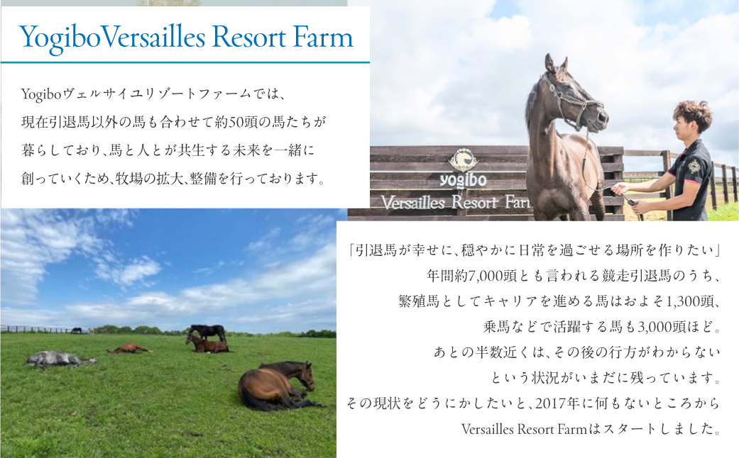 【1000万円コース 返礼品無し】より多くの引退馬の幸せな余生を願う　Yogiboヴェルサイユリゾートファーム BRTV024-07