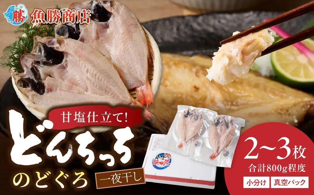 【どんちっちブランド】大きな「のどぐろ一夜干し（2～3枚）」 魚介類 魚貝類 魚 のどぐろ 干物 干もの 一夜干し のどぐろ一夜干し 【136_1995】