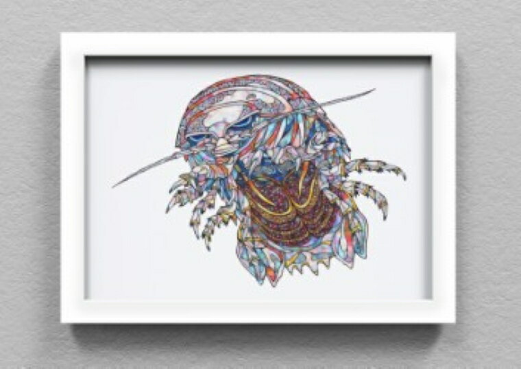 【ふるさと納税】G0729 竹島水族館 NAMIKO 生物絵画の複製画　NAMIKO　NIBOSHI＆　竹島水族館　深海生物　オオグソクムシ　メンダコ　複製画