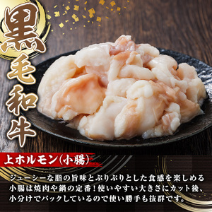 【鮮度抜群！】国産黒毛和牛小腸（上ホルモン計1.6kg） ホルモン 焼肉 黒毛和牛【カミチク】A828