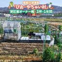 【ふるさと納税】寝屋川農園「びお・やちゃい村」貸区画オーナー権 (3坪・1年間)｜貸し農園 家庭菜園 自家栽培 収穫体験 農業体験 果物 野菜 数量限定 大阪府 寝屋川市[0023]