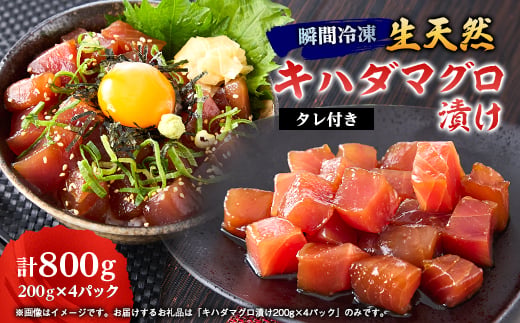 
                  《800g》瞬間冷凍生天然キハダマグロ漬け(200g×4パック)タレ付き　小分け便利【1590348】
                
