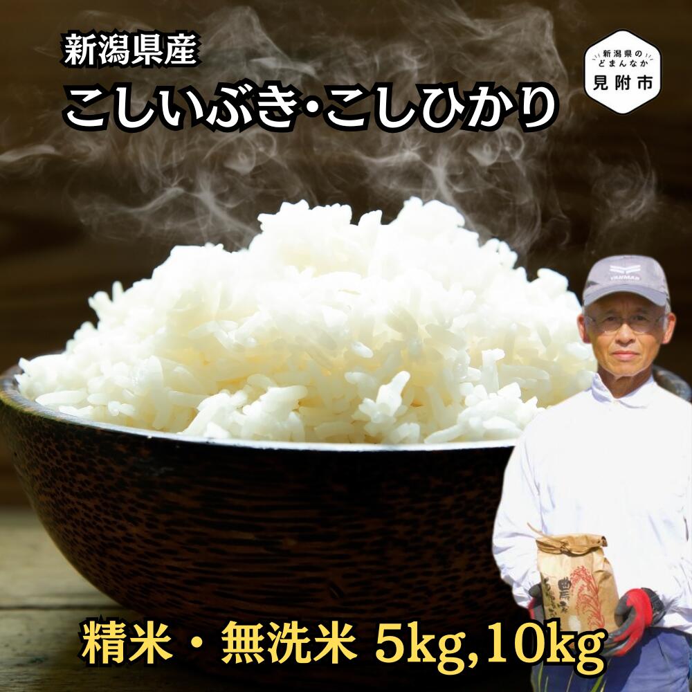 【ふるさと納税】米 こしひかり こしいぶき 新潟県産 5kg 10kg 精米