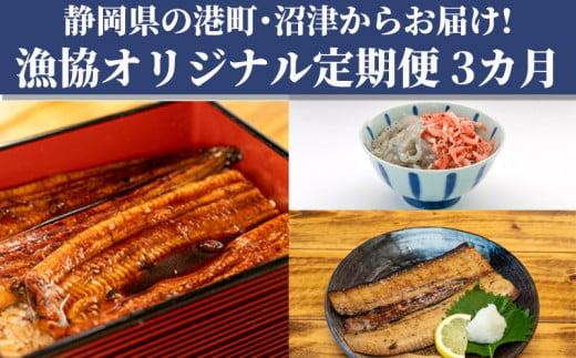 定期便 3回 オリジナルセット 3種  太刀魚 醤油干し しらす 桜えび うなぎ 蒲焼 漁業協同組合