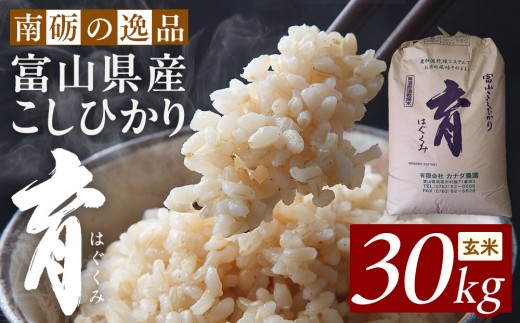 
                  【令和8年産】富山県産こしひかり　育（はぐくみ）玄米３０kg《南砺の逸品》
                