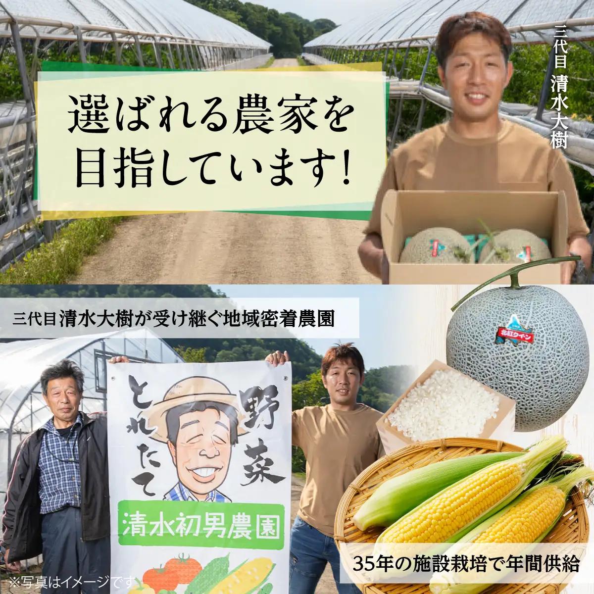 北海道壮瞥町 2回 定期便 8月上旬・8月下旬朝採り！産地直送 北海道壮瞥町産 とうもろこし黄・白 食べ比べ SBTP011