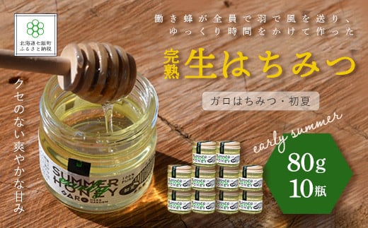 完熟生はちみつ ガロはちみつ・初夏（アカシア）（80g）10瓶セット お料理にも使える ふるさと納税 人気 おすすめ ランキング はちみつ ガロはちみつ 初夏 アカシア 完熟 生はちみつ 北海道 七飯町 送料無料 NAAB008