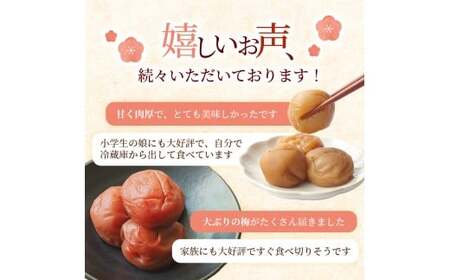 お試し★ 紀州南高梅 はちみつ梅(塩分8％) 200g×1パック / お歳暮 梅干し 梅干 うめぼし 南高梅 はちみつ梅 はちみつ梅干 はちみつ梅干し 蜂蜜 国産 梅 うめ ウメ 紀州みかんはちみつ 