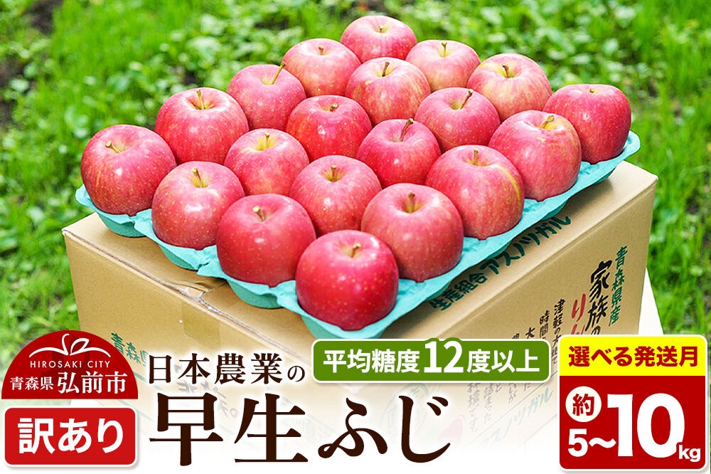 
                  りんご【選べる26年 10月／11月 発送】早生ふじ【訳あり】【選べる約 5kg／10kg】平均糖度12度以上 青森 果物 フルーツ 林檎 リンゴ くだもの 不揃い 規格外 [先行受付 家庭用 産地直送 アップル 青森県 弘前市]
                