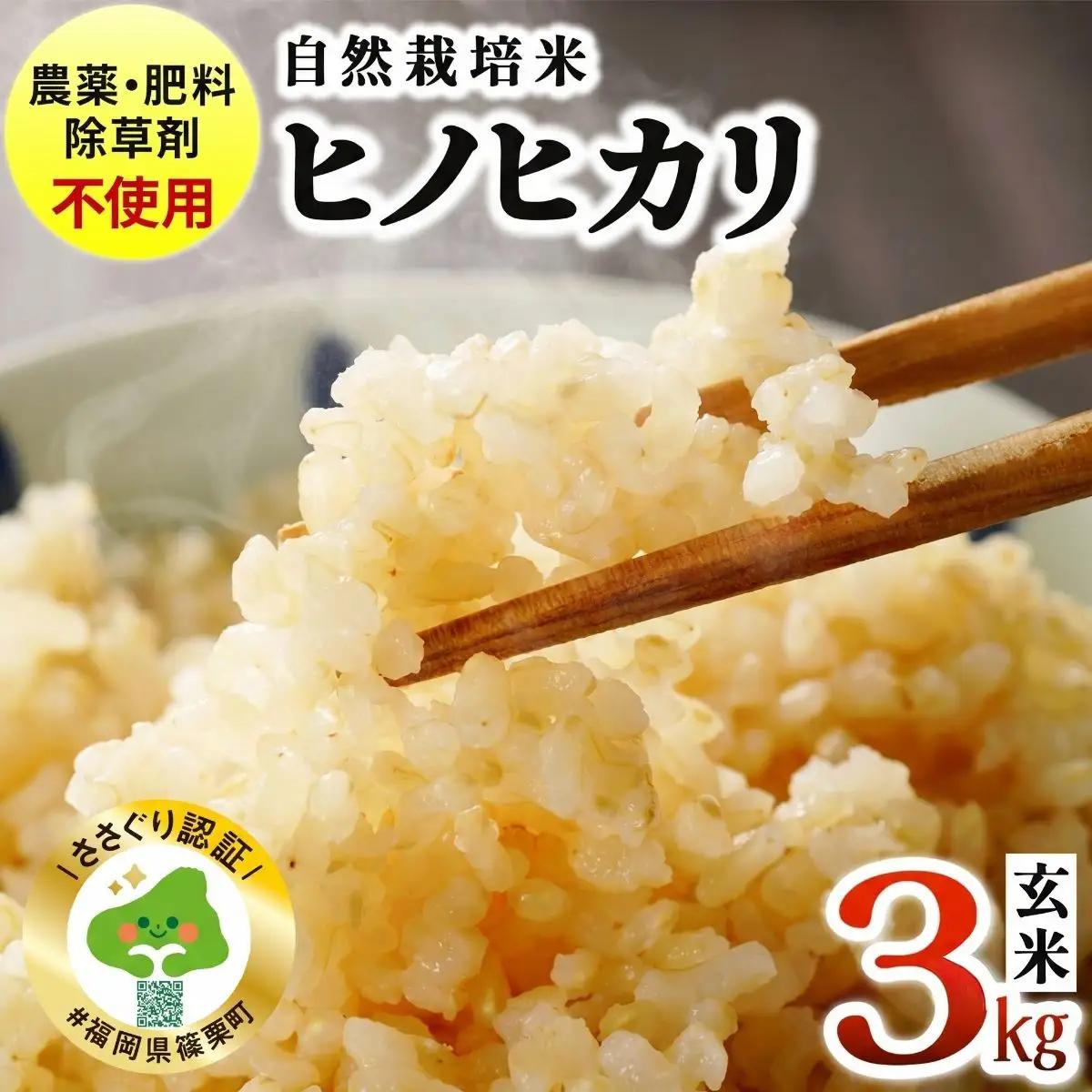 農薬・除草剤・肥料不使用 自然栽培米 令和7年度産ヒノヒカリ 玄米 3kg