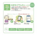 【ふるさと納税】《 小松市内 》郵便局のみまもりサービス「みまもりでんわサービス」（携帯電話、12カ月間）小松市 みまもり サービス 電話 ランキング おすすめ 小松市 こまつ 石川県 ふるさと 故郷 納税 052001【日本郵便株式会社】