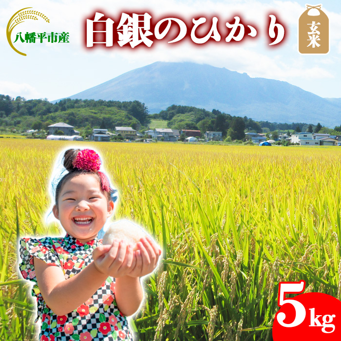 【令和7年産】 新米 10月中旬発送開始予定 白銀のひかり （岩手141号）  玄米 5kg ／ かきのうえ こめ 米 コメ お米 おこめ ご飯 ごはん げんまい