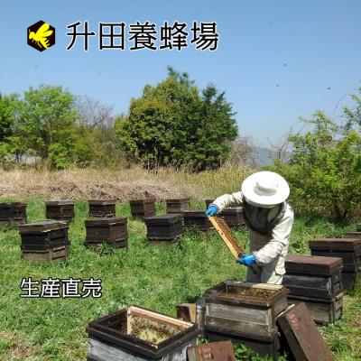 ふるさと納税 三次市 国産純粋はちみつ広島県産の天然百花蜂蜜1200g入 |  | 02