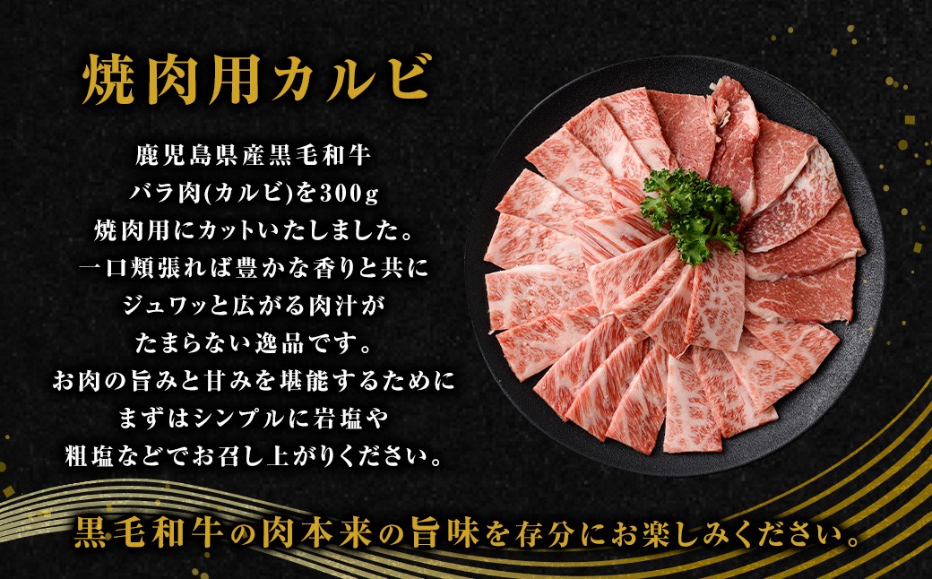 【鹿児島県産】 黒毛和牛 サーロインステーキ＆カルビ焼肉セット 合計約620g