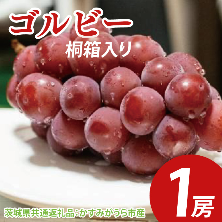 【先行予約】ゴルビー 桐箱入り1房（茨城県共通返礼品：かすみがうら市産）　※2025年9月初旬～2025年10月下旬頃に順次発送予定（CD043）