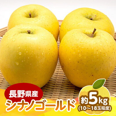 【ふるさと納税】【2025年発送】　長野県産 りんご　シナノゴールド　約5kg(10～18玉程度)_ りんご リンゴ 林檎 シナノゴールド シナノ しなの ごーるど 黄色 長野県 産地直送 約5kg 秋 冬 くだもの 果物 フルーツ 送料無料 【1541953】