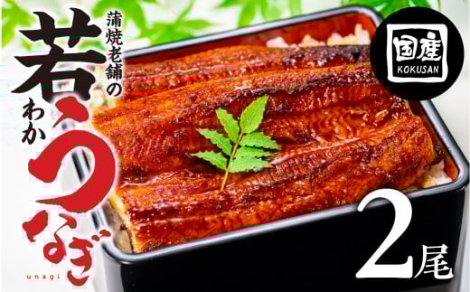 【土用の丑の日お届け】老舗蒲焼本舗の若うなぎ 2尾セット 蒲焼 ウナギ