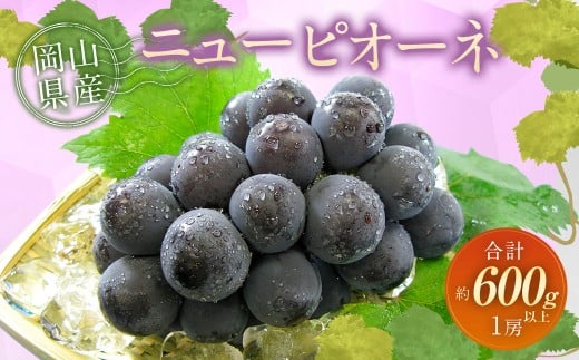 ぶどう 2026年 先行予約 ニュー ピオーネ 1房 600g以上 【2026年8月下旬～9月下旬 発送予定】 ニューピオーネ 葡萄 ブドウ フルーツ 果物 果実 ギフト 環山堂 岡山県産 国産 岡山県 奈義町 冷蔵