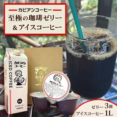 【ふるさと納税】カピアンコーヒー　至極の珈琲ゼリー&アイスコーヒーセット(ゼリー3個&アイスコーヒー1L)【1563983】