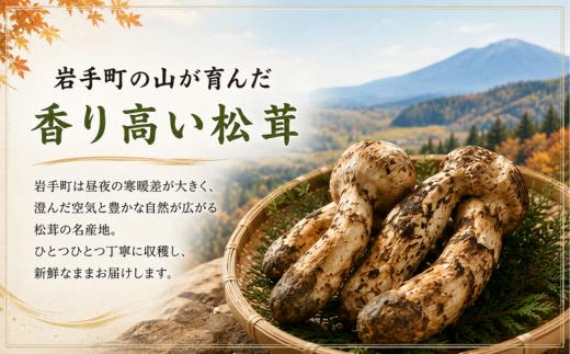 松茸 国産松茸 天然松茸 訳あり 訳あり松茸 訳あり天然松茸 250g 国産天然松茸 岩手県産松茸 岩手町産松茸 まつたけ マツタケ 天然まつたけ 国産まつたけ 先行予約 2026年発送 秋の味覚 き