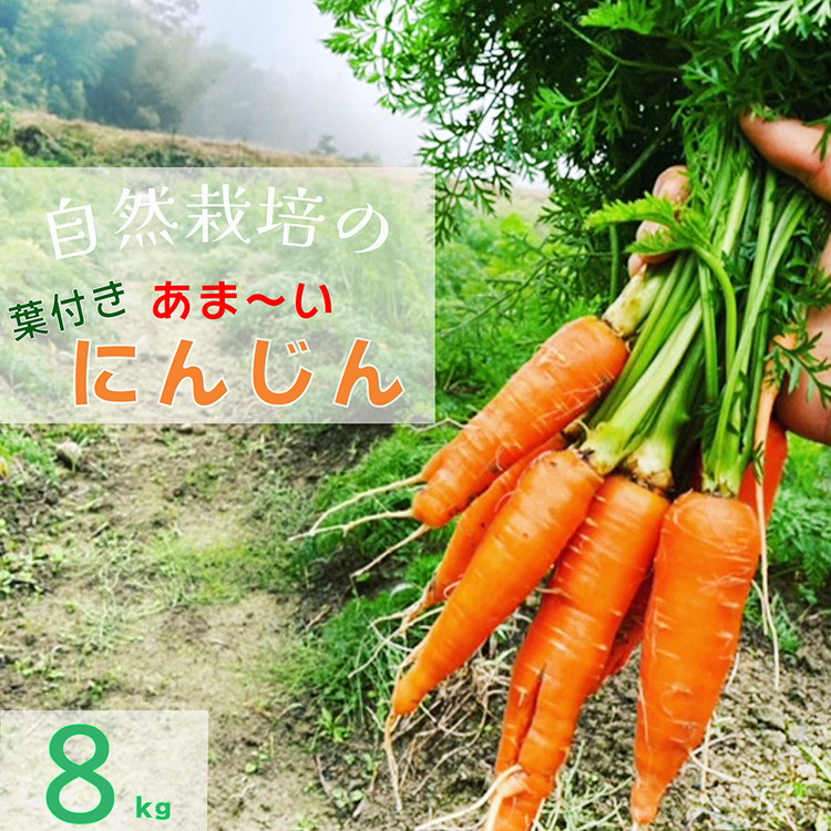 人参 8kg【期間限定】自然栽培の甘い 葉付き人参 京都府・亀岡産 かたもとオーガニックファームよりお届け 《訳あり サイズ不揃い にんじん 国産 京都産 栽培期間中農薬不使用 産地直送》 ※2025年1月～4月頃に順次発送 ※離島への発送不可