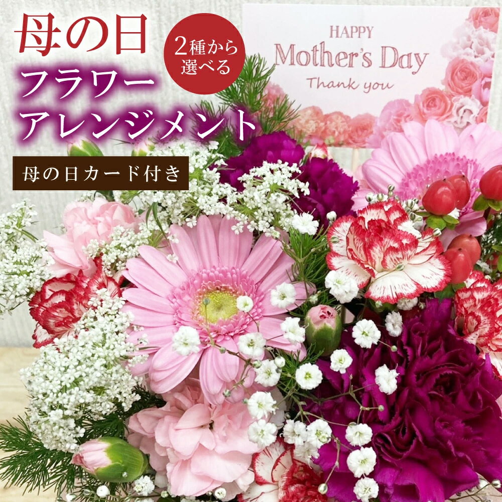 【ふるさと納税】＜2種から選べる＞ 母の日 フラワーアレンジメント【2026年5月8日出荷】｜ 花 お花 フラワー カーネーション プレゼント ギフト 贈答用 メッセージカード 母の日カード付き 大阪府 阪南市 送料無料