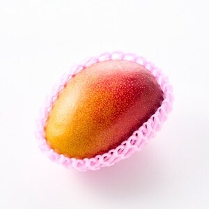 茨城県産 なめがたプリンセスマンゴー3L【450g以上】1個【配送不可地域：離島・沖縄県】【1647817】