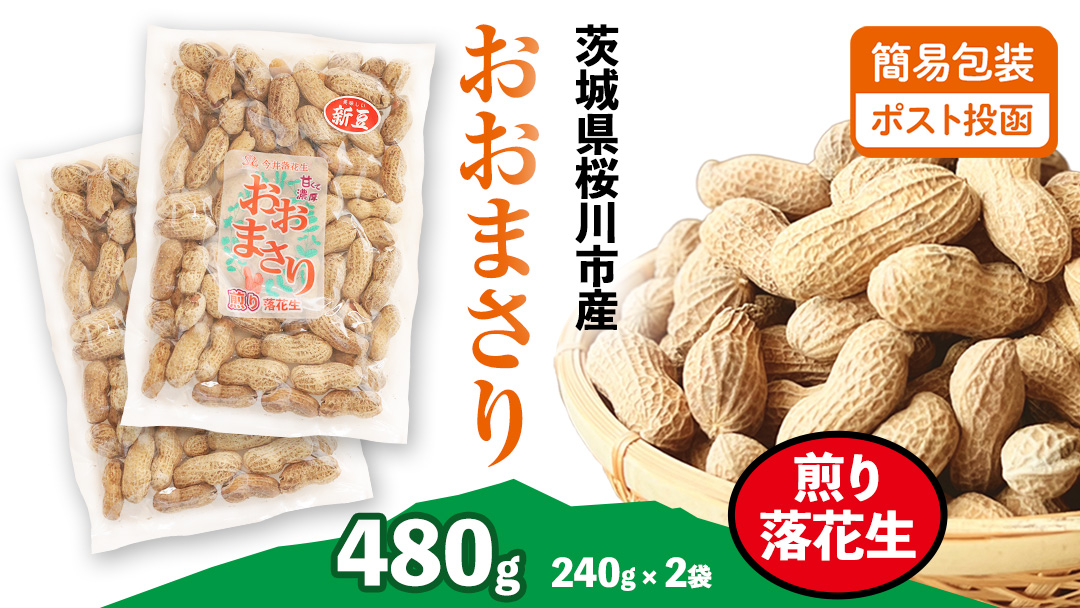 おおまさり 煎り落花生 合計480g (240g×2袋) 【2025年11月上旬から発送開始】 簡易包装 ポスト投函 ご自宅用 ピーナッツ 落花生 おつまみ おやつ お菓子 ナッツ [BB013sa]