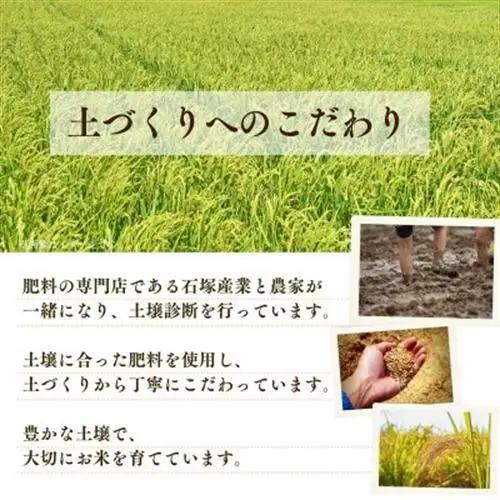 令和7年産かすみがうら市産コシヒカリ  精米  10kg_茨城県産 こしひかり 10kg 米 ご飯_【1268976】
