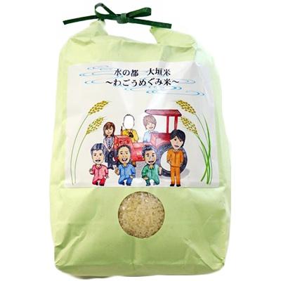 ふるさと納税 大垣市 水の都 大垣米 〜わごうめぐみ米〜【特別栽培米レンゲハツシモ】　5kg