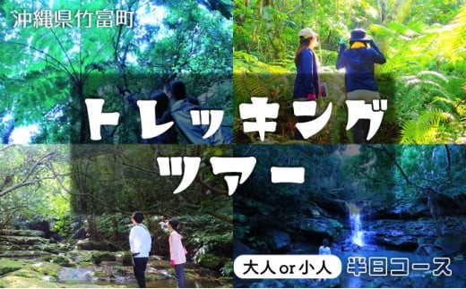 
                  西表島 半日森林浴滝トレッキングツアー【体験可能期間:11月1日～4月30日】大人1名分 または 小人1名分 【 旅行 体験チケット 西表島ツアー 大自然 体験ツアー 観光 沖縄 森林浴 滝 トレッキング アクティビティ】
                