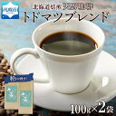 【ふるさと納税】 コーヒー ブレンド 粉 100g×2 珈琲 生豆 自家焙煎 マイルド スペシャルティコーヒー 中挽き ハンドドリップ 飲料 ドリンク ギフト お取り寄せ グルメ トドマツ 天野珈琲 北海道 札幌市