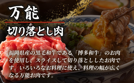 博多和牛切落し500g×2 (計1kg)