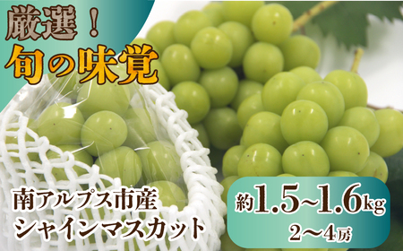 【今シーズン発送】厳選！南アルプス市産　シャインマスカット　約1.5kg～1.6kg（2～4房） ALPDD010