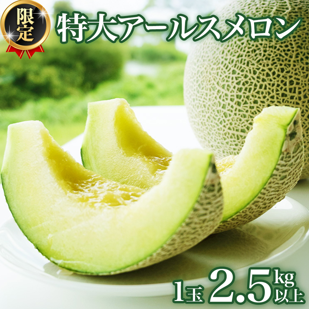 【2026年8月下旬発送開始】 季節 限定 ！ 甘さ満点 特大 アールスメロン 1個 箱 果物 フルーツ 農家直送 産直 青肉メロン 特産品 マスクメロン メロン くだもの 茨城 [BC005sa]