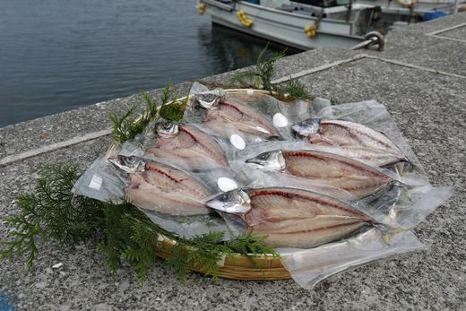 【一本釣り 匠の漁】天然アジ・三崎サバ一夜干しセット（各2枚）＜海鮮 魚 愛媛 伊方＞