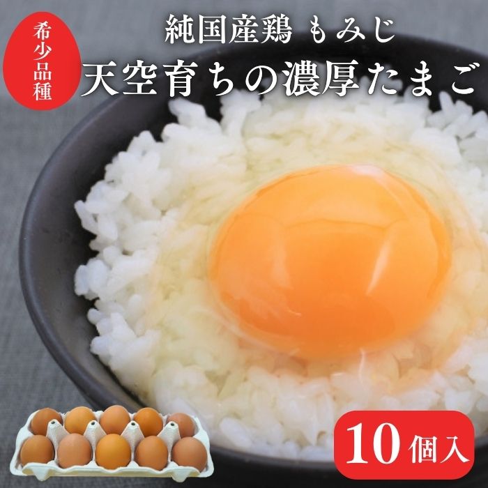【ふるさと納税】天馬夢のハッピーエッグ　10個　新鮮 たまご 希少 採りたて 10個入り たまごかけご飯 目玉焼き 濃厚　高萩　純国産鶏
