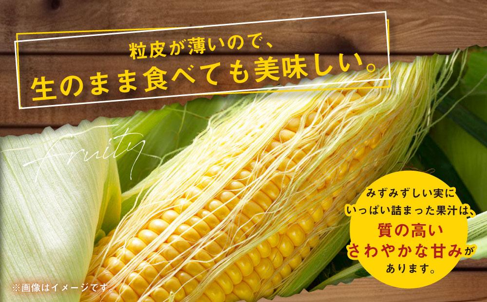 【先行予約】あさひやま動物園ライオンコーン約4kg(ゴールドラッシュ10本)2024年8月下旬～発送開始予定_00307