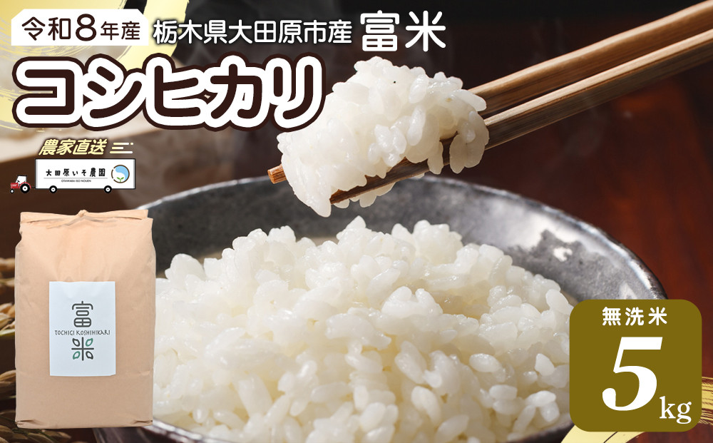 ≪2026年10月中旬以降発送≫令和8年産 栃木県大田原市産コシヒカリ「富米」 無洗米　5キロ ｜米 お米  無洗米 コメ こしひかり 5kg