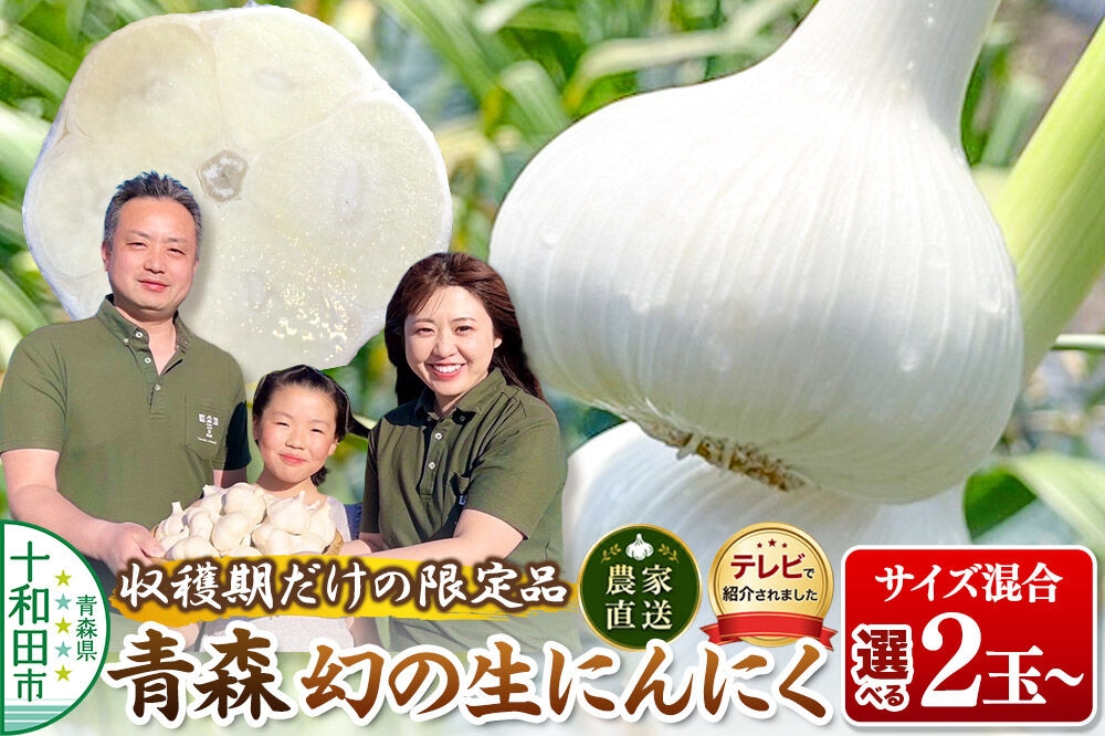 
                  先行受付【テレビ紹介】青森 幻の生にんにく（農家直送・収穫期だけの限定品）【選べる内容量：2玉～30玉、1kg】 青森にんにくファーム [稀少 ニンニク 今が旬 直送]
                