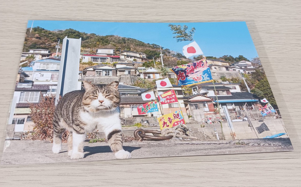 ねこの島！湯島！オリジナルポストカード【地域猫活動支援】