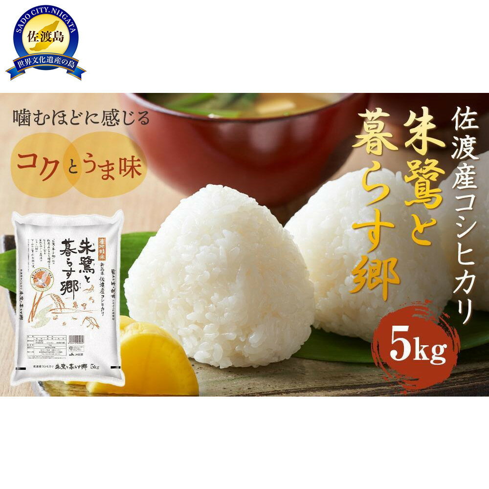【ふるさと納税】令和7年産 佐渡産コシヒカリ米「朱鷺と暮らす郷」5kg 佐渡・今井茂助商店おすすめ
